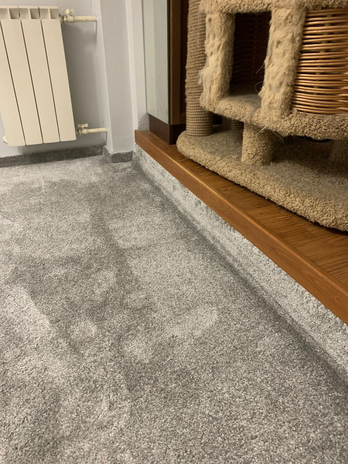 Квартира в Москве